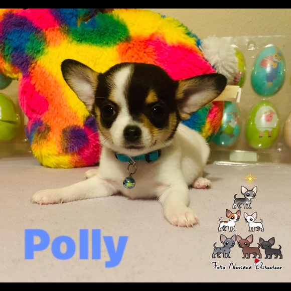 Meet your Posher, Sarah - Picture 2 of 5